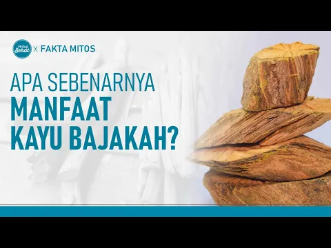 Fakta Mitos Seputar Kayu Bajakah Yang Harus Diketahui