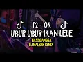 Download Lagu DJ TAPI BERPUTAR PUTAR AKU BINGUNG SENDIRI X UBUR-UBUR IKAN LELE REMIX DJ MALBAR BASSGANGGA 2025