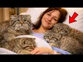 Lagu She Rescued a Pallas's Cat Family…They Never Left Her Side