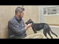 Animal shelters fear SNAP benefit pause may lead to surrenders