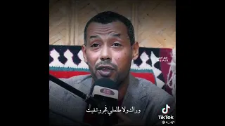 اجمل بيت ابوذية مثل بحر النجف جفيت وشفيت 