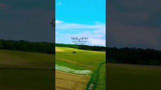 ربنا اغفر لي ولوالدي للشيخ خالد الجليل 