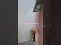 Download Lagu Unboxing Jumpsuit Korean Pink Denim | Cekout di Tiktok : SpillbyAshila🌷 #jumpsuit #jumpsuitstyle