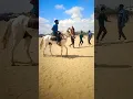 Download Lagu Chhatrapati Shivaji Maharaj ghoda#horse #viralshorts #viralvideo