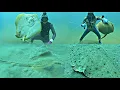 Download Lagu Our daily job is diving for 6 hours and catching a lot of squid.