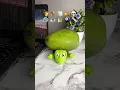 What do you want me to put on top of the turtle next