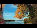 Download Lagu *** - SERGEY GRISCHUK - AUTUMN- *** ( Super relaxing music  )