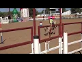 Mountain Cowhorse