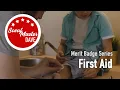First Aid Merit Badge Overview ScoutMaster Dave