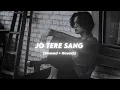 Download Lagu Jo Tere Sang ( full video)