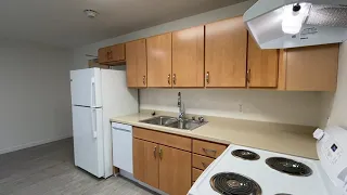 Qanchi Place 2BR Tour
