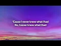 Lewis Thompson, David Guetta - Take Me Back (Lyrics)