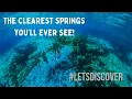 The CROWN JEWEL OF FLORIDA is the CRYSTAL CLEAR WATER in Crystal River