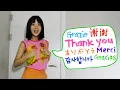 Download Lagu Su Lee - Thank You Song (Thank You, Gracias, 감사합니다, ありがとう, merci, 谢谢, Grazie) [Audio]