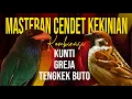 Download Lagu Masteran Cendet Kekinian 2025 kombinasi kunti tengkek buto dan greja tarung