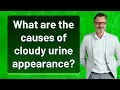 Download Lagu What are the causes of cloudy urine appearance?