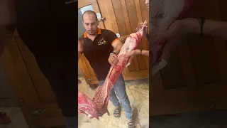 شط خروف في ثواني وشوف اخر 3 ضربات بالسكينه 