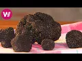 Umbria - Truffles Roast Pigeon and Almond Cakes What s cookin