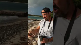 You won’t believe what we found on this island! #shorts