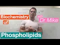 Phospholipids Biochemistry