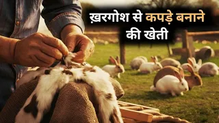 ख़रगोश से कपड़े बनाने की हैरतंगेज़ खेती-Rebit Farm #indiandesitraveller