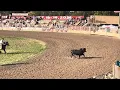 Pendleton Round Up 2025