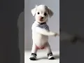 Download Lagu Dança da motinha