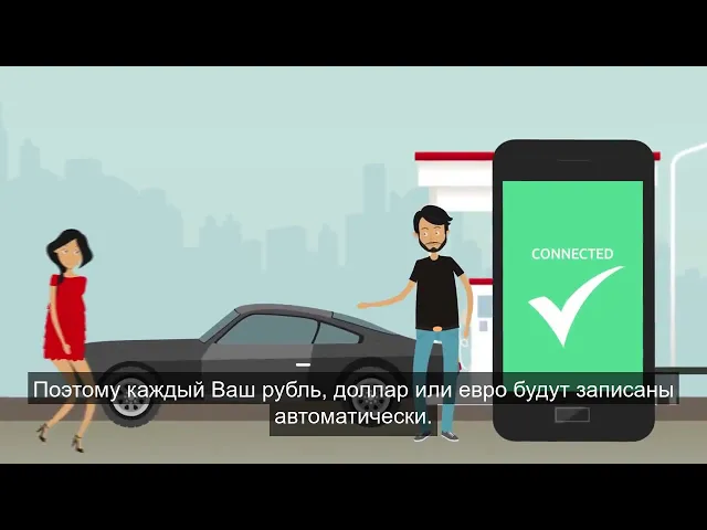 Bank Connections Wallet by BudgetBakers