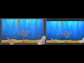 Flocking Algorithm with Unity
