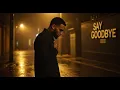 Download Lagu BreezyX – “Say Goodbye” (Music)