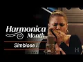 Download Lagu INDIARA SFAIR | Simbiose | Harmonica TAB