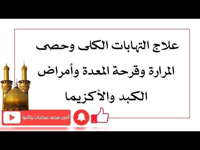 ⁣علاج التهابات الكلى وحصى المرارة وقرحة المعدة وأمراض الكبد والأكزيما