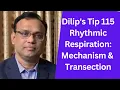 Dilip s Tip 115 Rhythmic Respiration Mechanism Transection