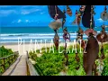 Tô no barato | Planta e Raiz