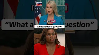 What A Stupid Question On Force Used Against Protesters Says White House Karoline Leavitt  What A Stupid Question On Force Used Against Protesters Says White House Karoline Leavitt