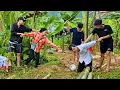 Download Lagu The engineer tried to protect the poor single girl from the gangsters | Ly Tieu Phuong