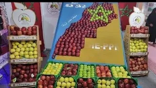  الذكاءالاصطناعي لبعض المدن المغربية عبد العزيز احوزار اغنية على الام توحشتك لميمة وشحال بكيت  عليكم دندنها