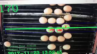Egg counter with computer vision on the conveyor