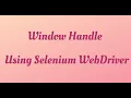 How to Handle multiple windows tabs in Selenium WebDriver Multiple windows in selenium WebDriver