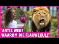 Download Lagu Sluiting Artis nu ter sprake: ‘Ze wilden ook het vissen verbieden!’