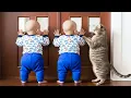 Download Lagu This Baby’s Hilarious Reaction When a Cat Becomes Their Best Friend || Double Cute
