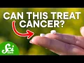 How Antihistamines May Solve Your Problems