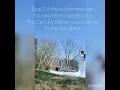How to set up a 10x10 ABC Canopy for the first time with what not to do