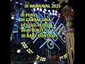dj karnaval 2025 full album viral 