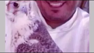 الشاعر عادل بن دهش   والله وانا بن دهش دندنها