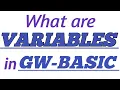 VARIABLES In GW-BASIC with Practical Examples