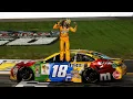 Kyle Busch-Natural NASCAR