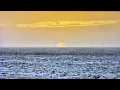 ARIA VEGA - COMPA COLETO (uy_como) (Extended jesus felix )