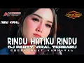 Download Lagu DJ RINDU HATIKU RINDU STYLE PARTY BUAT KARNAVAL VIRAL TERBARU