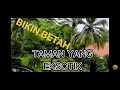 Download Lagu TAMAN YANG BERSIH RAPI CANTIK DENGAN LATAR BELAKANG LAUT